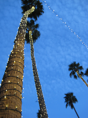 Lit Palms at ArtWalk Lit Palms at ArtWalk